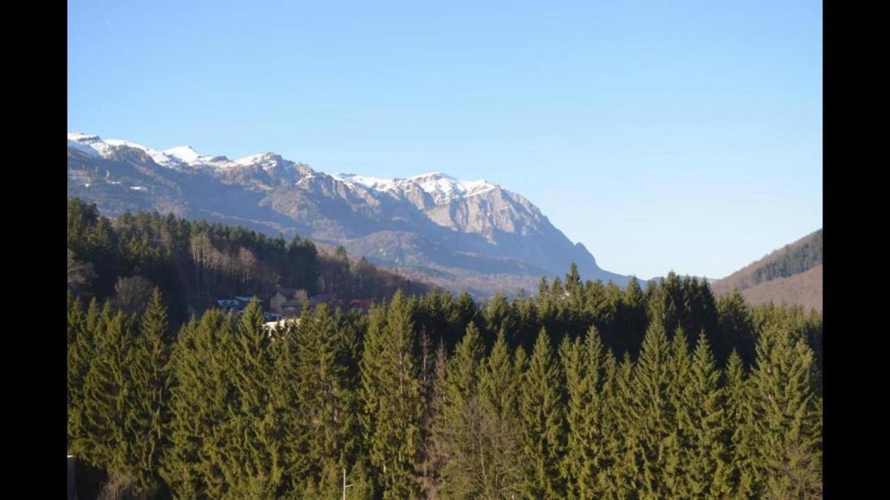Mountain Residence Синая Екстериор снимка